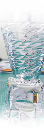 Sub Navigation Image